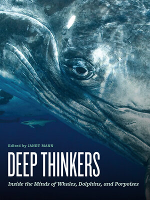 cover image of Deep Thinkers